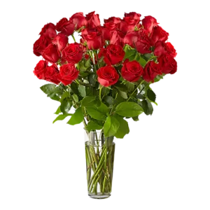 Eternal Red Rose