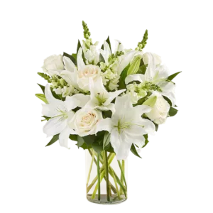 Pretty White Rose