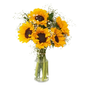 Sunshine Bloom